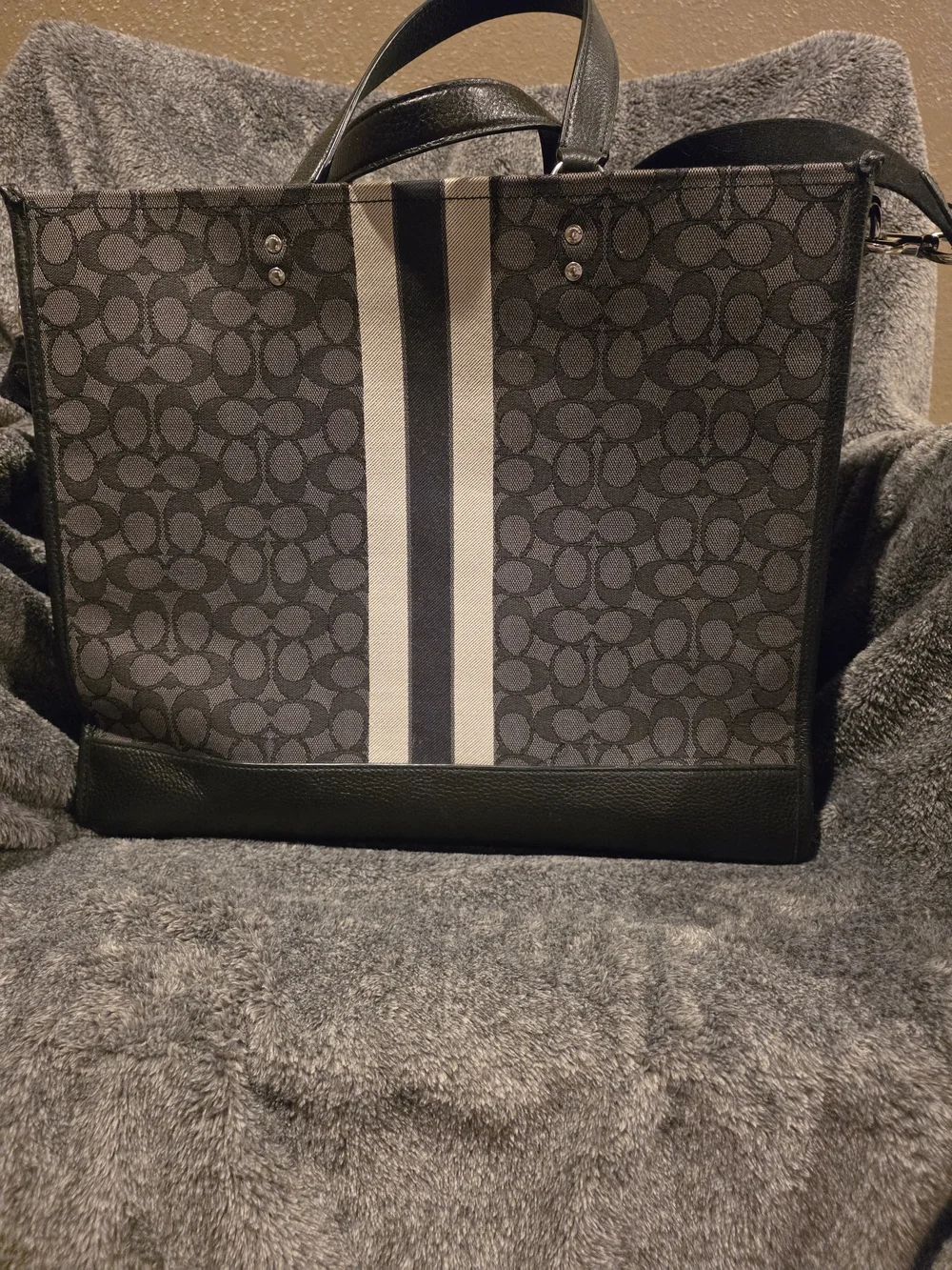 Coach Gray Signature Canvas Tote with Stripe